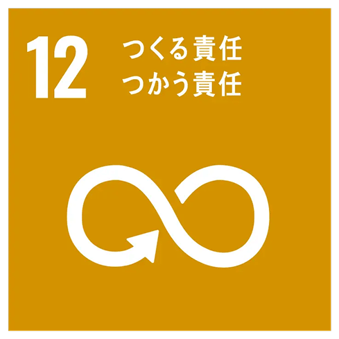 GOAL 12