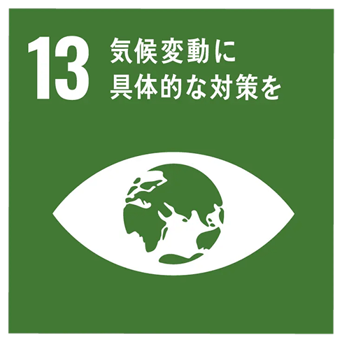 GOAL 13