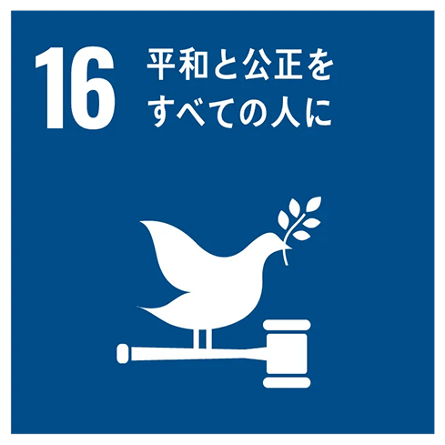 GOAL 16